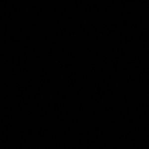 Meet your Posher, Peyton